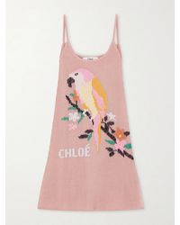 Chloé - Embroidered Crocheted Cotton Mini Dress - Lyst