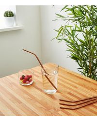 New Look 4 Pack Metal Reusable Straws - Multicolour