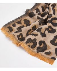 New Look Brown Leopard Print Tassel Trim Scarf