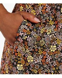 Apricot Clothing for Women | Online 