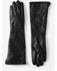 Mint Velvet - Leather Long Gloves - Lyst