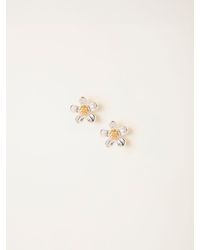 FatFace - Fatface Daisy Stud Earrings - Lyst