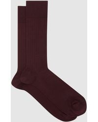 Reiss - Fela - Bordeaux Cotton-blend Ribbed Socks, S/m - Lyst