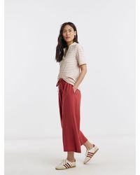 JD Williams - Stripe Polo Half Sleeve Top - Lyst