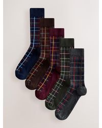 Next - Rich/ Check Pattern Socks 5 Pack - Lyst