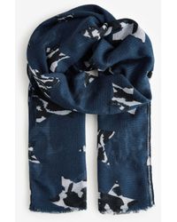 Next - Zebra - Lyst