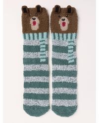 FatFace - Fatface Cosy Bear Socks - Lyst