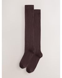 Next - Chocolate Modal Blend Knee High Socks 2 Pack - Lyst