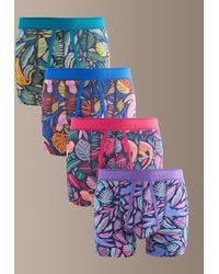 Next - Bright/ Tropical Animals Comfort Soft 4 Pack Signature A-Front Cotton Rich Boxers - Lyst