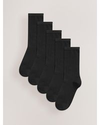 Next - Basic Ankle Socks Five Pack - Lyst