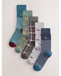Next - Mixed Animals Pattern Socks 5 Pack - Lyst