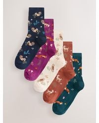 Next - Autumn Animals Print Ankle Socks 5 Pack - Lyst