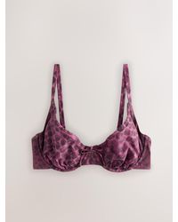 Next - Berry/ Leopard Dd+ Wired Non Padded Bikini Top - Lyst