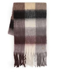 Totes - Chunky Brushed Scarf - Lyst