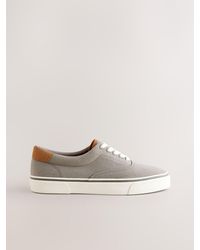 Next - Canvas Cvo Trainers - Lyst