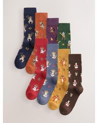 Next - Cowboy Animals Fun Socks 8 Pack - Lyst