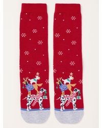 FatFace - Fatface Dogs Christmas Tree Socks - Lyst