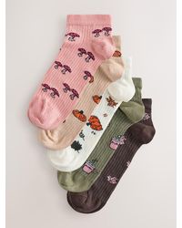 Next - Autumn Conversational Ribbed Trainer Socks 5 Pack - Lyst