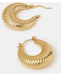 Accessorize - Stainless Steel Chunky Ridge Hoop Earrings - Lyst