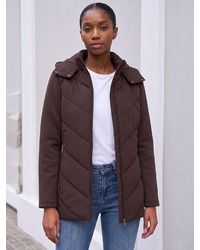 Roman - Petite Chevron Padded Coat - Lyst