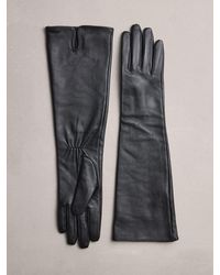 Next - N. Premium Long Leather Gloves - Lyst