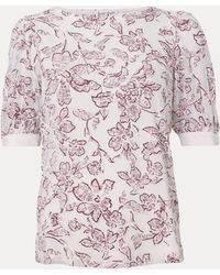 Phase Eight - Phase Eight Kelly Burnout Top - Lyst