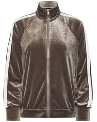 PixieGirl Petite - Velour Stripe Jacket - Lyst