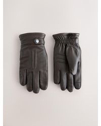Next - Leather Gloves - Lyst