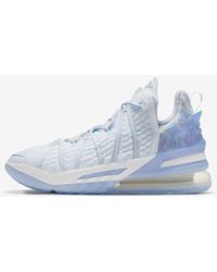 lebron basket