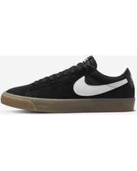Nike Sb Blazer Zoom Low Skateboarding 