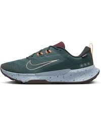 Nike Fs Lite Run 2 Lightweight Running Shoe in Gray for Men | Lyst