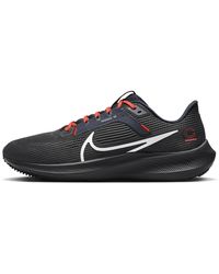 chicago bears pegasus