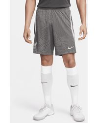 Nike - Liverpool F.c. Strike Dri-fit Football Shorts 75% Recycled Polyester Minimum - Lyst