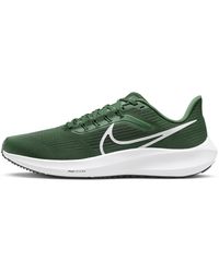 Nike Pegasus 40 (NFL Green Bay Packers) Men's Road Running Shoes