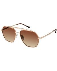 Colors In Optics - Colors - Lyst