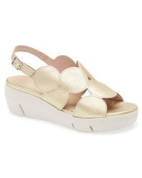 Wonders - Platform Sandal - Lyst