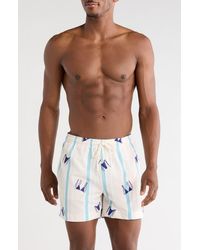PacSun - Bikini Embroidered Stripe Swim Trunks - Lyst