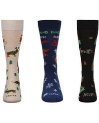 Memoi - Assorted 3-Pack Christmas Crew Socks - Lyst