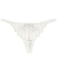Etam - Camelia G-String - Lyst