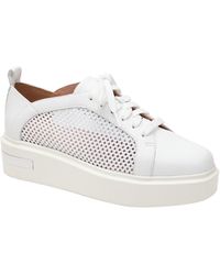 linea paolo kendra sneaker