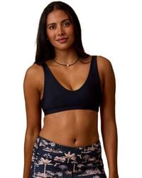 Carve Designs - Breakers Compression Top Dd Cup - Lyst