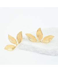Starfish Project - Golden Canopy Earrings - Lyst