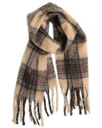Belle & Bloom - Timeless Scarf - Lyst