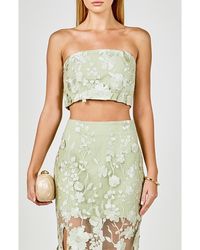 Endless Rose - Floral Embroidered Strapless Crop Top - Lyst