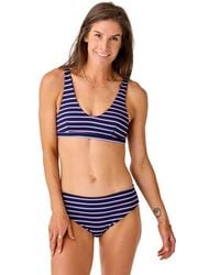 Carve Designs - Pipa Compression Bottom - Lyst