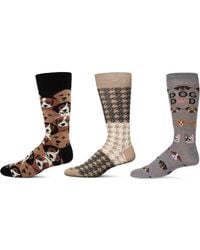 Memoi - Pet Lover's Assorted 3-Pack Crew Socks - Lyst