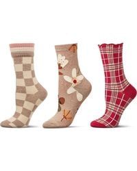 Memoi - Assorted 3-Pack Crew Socks - Lyst