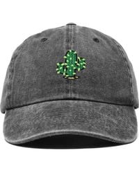 Alix - Cactus Embroidered Low Crown Cap - Lyst