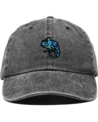 Alix - Chameleon Embroidered Dad Hat - Lyst