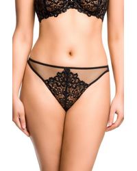 Dita Von Teese - Dahlia Lace Trim Thong - Lyst